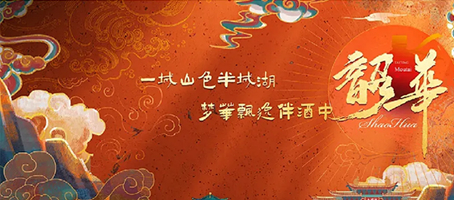 韶华权益大礼包